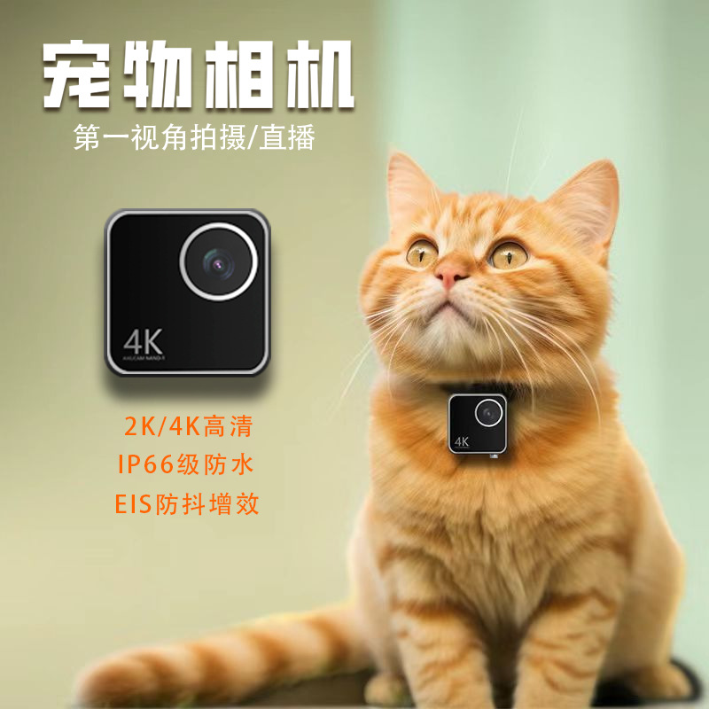 Animal cat dog pet camera firs - Cameras recension och pris