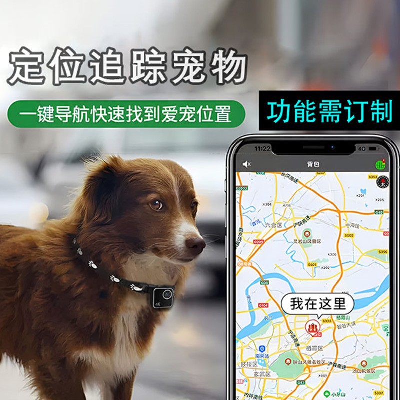 Animal cat dog pet camera firs - Cameras recension och pris