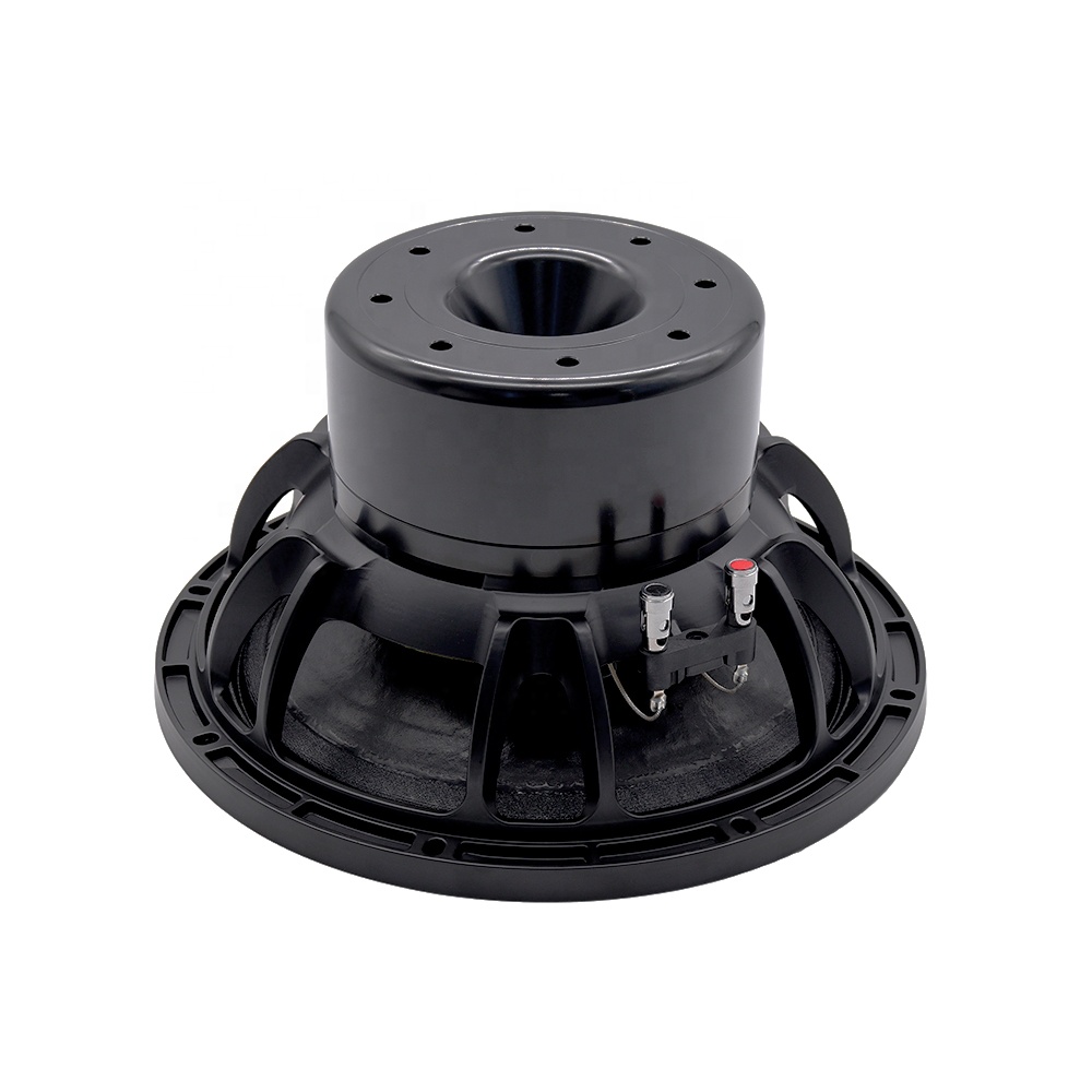 12DS Pro Audio Equipment 12''  - Speakers recension och pris